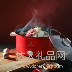 伊莱克斯电火锅