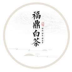云虚谷福鼎白茶—云谷初年
