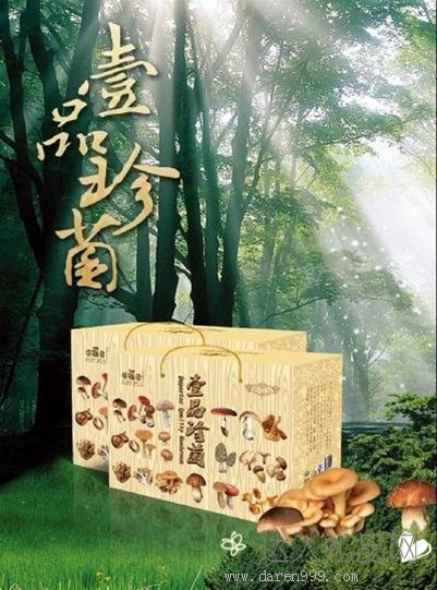 达人特级野生菌套装